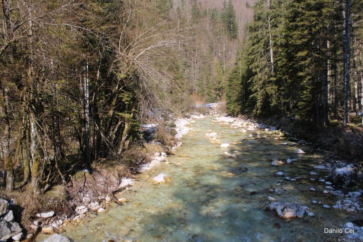 22.2.2025 Ogled planinskega muzeja v Mojstrani in po poti v dolini Vrata